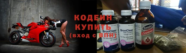 ГАЛЛЮЦИНОГЕННЫЕ ГРИБЫ Сосновка