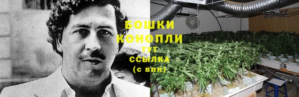 скорость Покачи