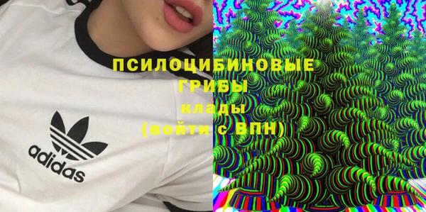 Альфа ПВП Покровск