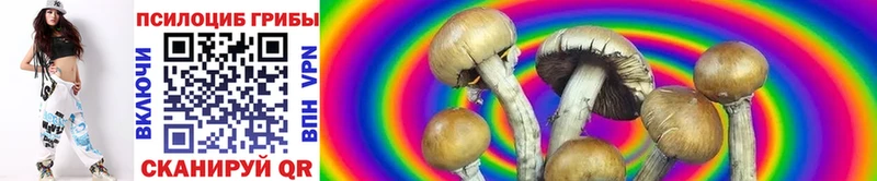 Галлюциногенные грибы GOLDEN TEACHER  даркнет какой сайт  Малаховка 