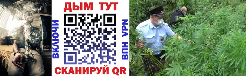Шишки марихуана сатива  магазин продажи   Малаховка 